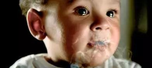 烟草的危害到底有多大?