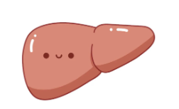 得了肝炎怎么办?记住三个治疗原则