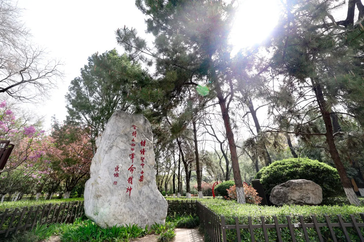 缅怀先烈践初心，传承精神启新程!将革命精神转化为服务患者的动力!