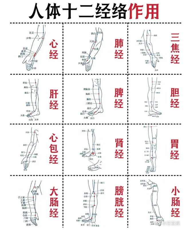 中医经络刮痧：传统疗法的现代解读与临床应用